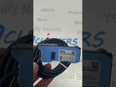 SICK WLL80P-1FTGY1DEZZZZ Z1Z1 amplificatore ottico autonomo ad alte prestazioni