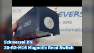 Interruttore magnetico Reed Schmersal BN 20-RZ-M16
