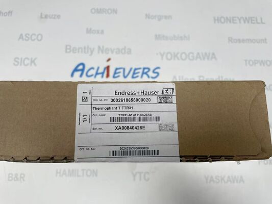 Trasmettitore di temperatura industriale Endress Hauser TTR31-A1C111AA2EAB per misurazioni di precisione