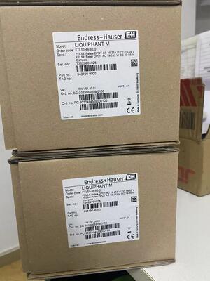 E+H FTL50-1DN80/0 Liquiphant M Vibronic Tuning Fork