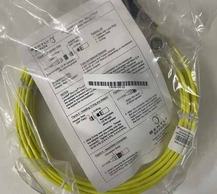 CB2W100-32 Cable di interconnessione Bently Nevada 32 piedi 9,75 metri