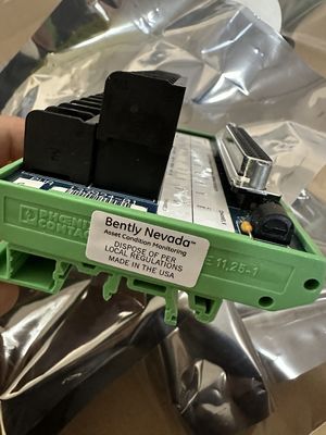 Bently Nevada 133924-01 Blocchi di terminazione esterni