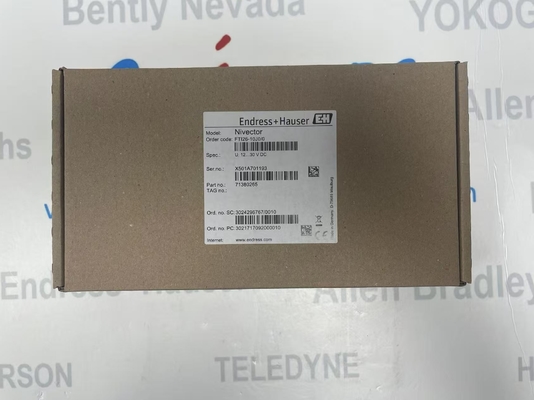 Endress Hauser FTI26-AA4UWDJ serie interruttore di livello di capacità