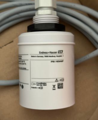 Sensore di livello a ultrasuoni Endress Hauser FDU91-RG1AA