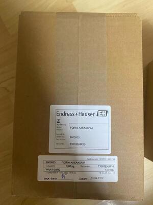 Endress Hauser FQR56-AAEAAXFA1 Generatore di segnale ad alta stabilità per sistemi di misurazione industriali