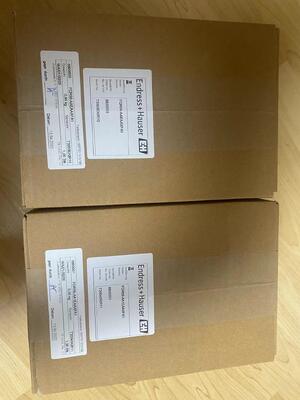 Endress Hauser FQR56-AAEAAXFA1 Generatore di segnale ad alta stabilità per sistemi di misurazione industriali