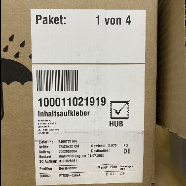 Endress Hauser FTE30-EAAA interruttore di livello rotativo ad alte prestazioni